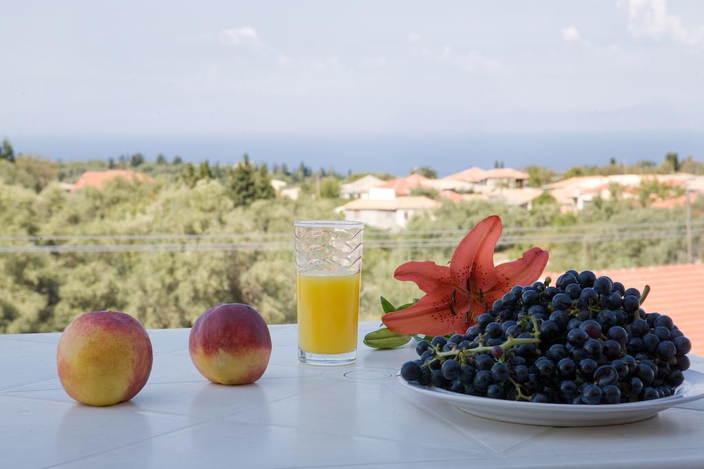 Pansion Filoxenia Apartments & Studios Tsoukaladhes Bagian luar foto